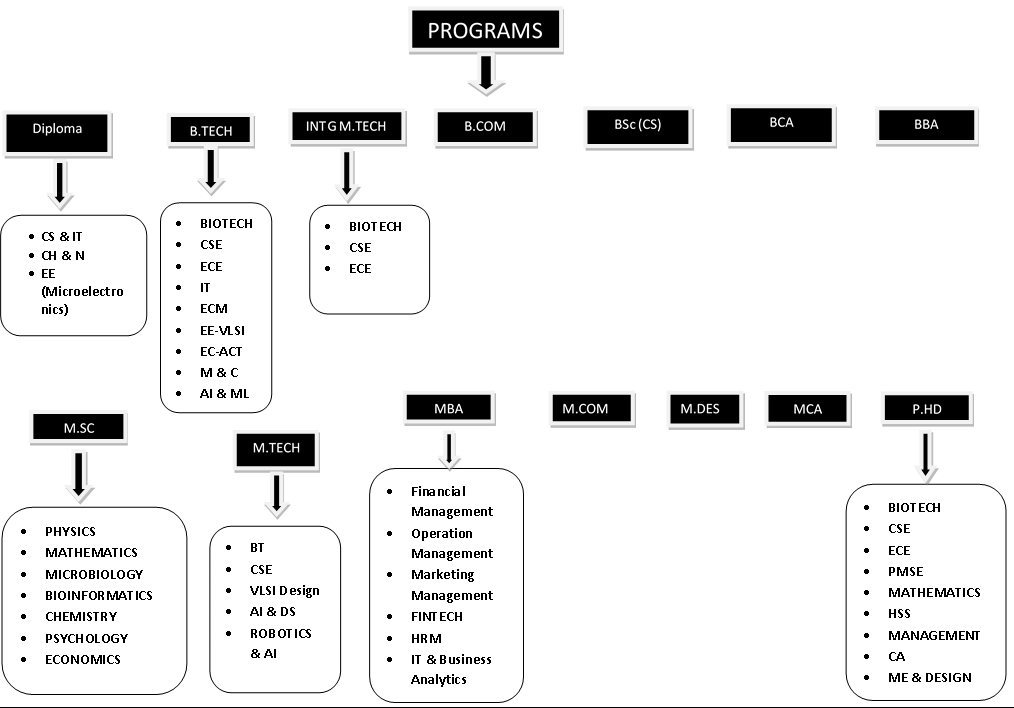 What are the programs offered by JIIT?